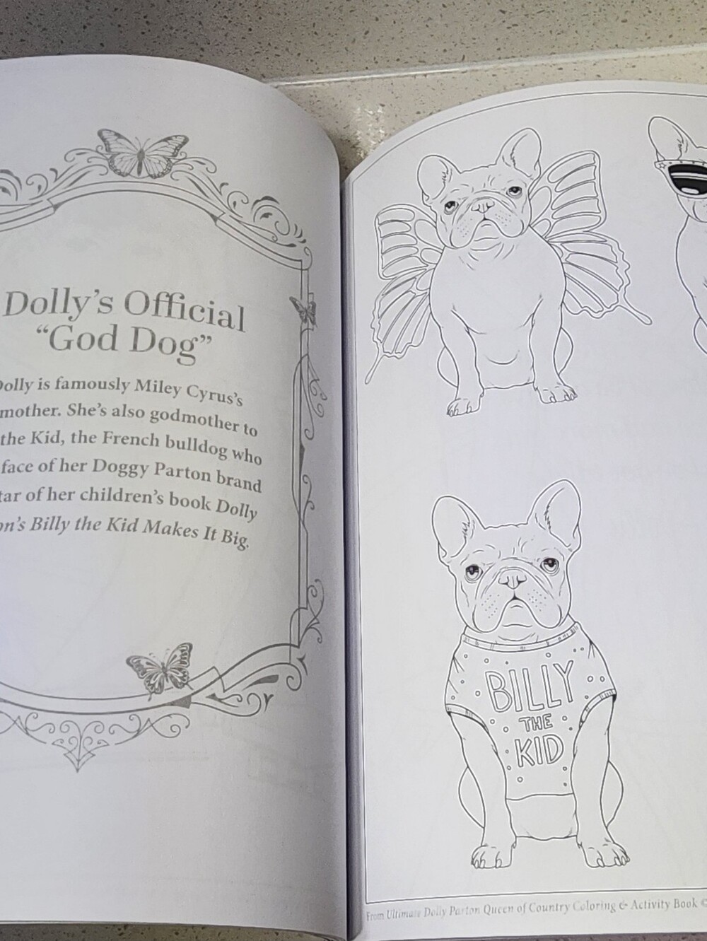 Dolly Parton Coloring And Activity  Book. Photo Gallery & Fun Facts New. - Picture 12 of 14
